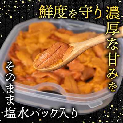 【年内配送可○】バフンウニ(赤系)塩水P95～105g×2P[10月中旬以降発送] B-74002