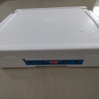 【年内配送可○】★北海シマエビ300g A-52003