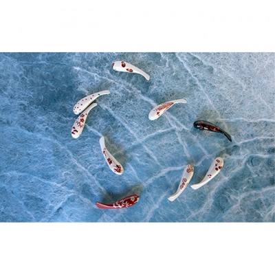 コイオキ 色漆錦鯉 3折(松竹梅金蒔絵)[54070159]