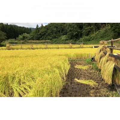 新潟コシヒカリ純米大吟醸【maboroshinosake】720ml 日本酒[54070140]