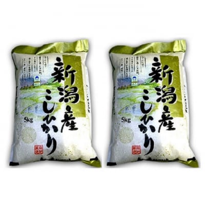 特別栽培コシヒカリ10kg[54070109]