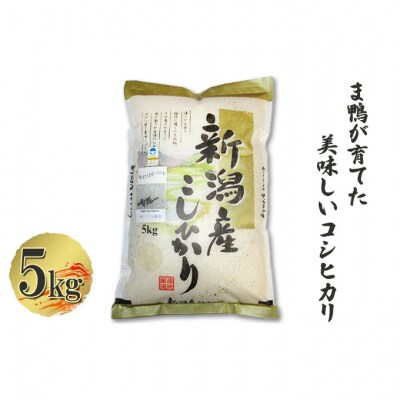 ま鴨が育てた美味しいコシヒカリ 5kg [54070570]