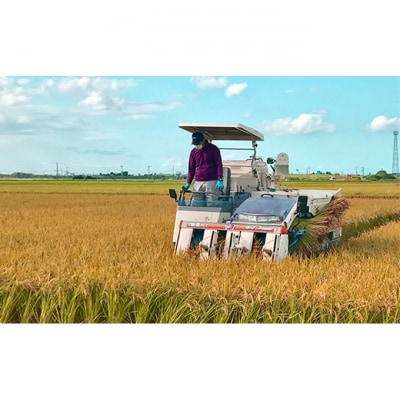 カガヤキ農園 特別栽培米コシヒカリ10kg [54070189]