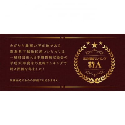 カガヤキ農園 特別栽培米コシヒカリ10kg [54070189]