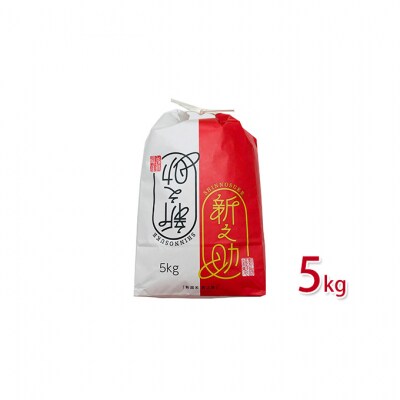 新之助 5kg 新潟県 [54070418]