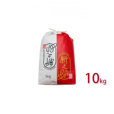 新之助10kg(5kg×2袋) 新潟県 [54070419]