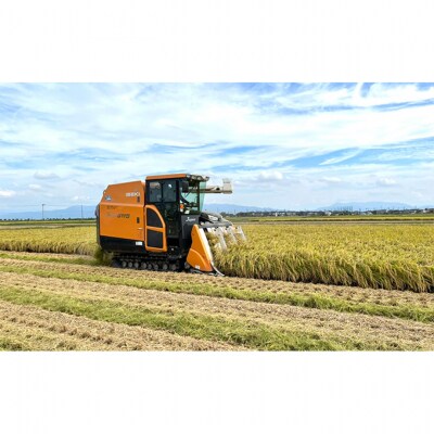 【カガヤキ農園】特別栽培米　新之助10kg(5kg×2) [54071112]