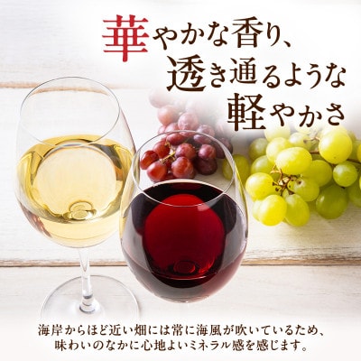 カーブドッチSABLE 赤白ワインセット 750ml×2本 新潟 [54070175]