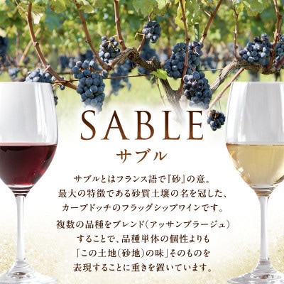 カーブドッチSABLE 赤白ワインセット 750ml×2本 新潟 [54070175]
