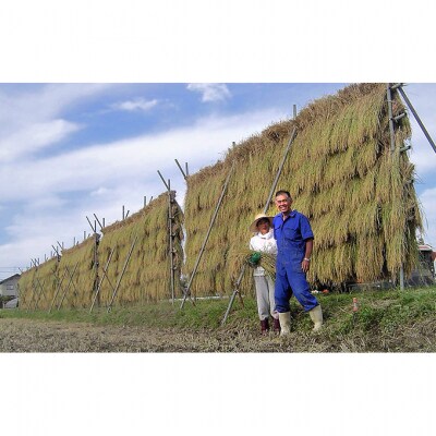 上野農場 コシヒカリ精米3kg[54070110]