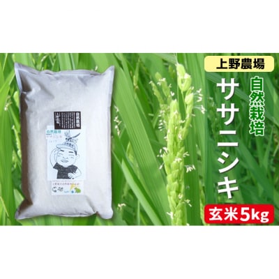 新潟産ササニシキ玄米　5kg [54071095]