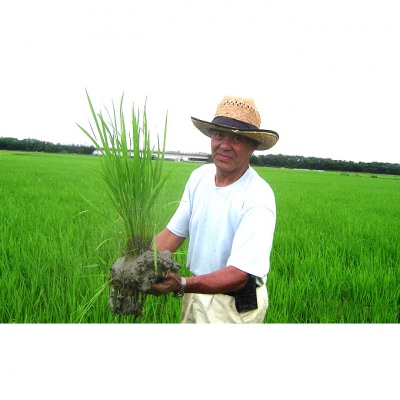 上野農場 農林1号 精米5kg[54071532]