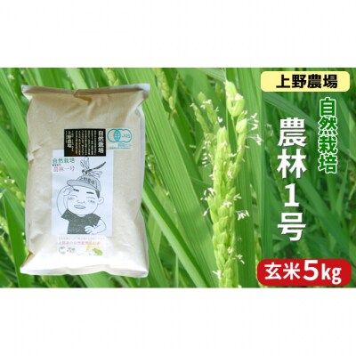 上野農場 農林1号 玄米5kg[54071533]