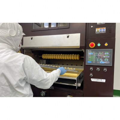 NIIGATAひかりBAUM ソフト&ハード [54070811]