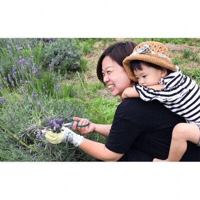 新潟産ラベンダー精油5mlとアロマストーン [54070251]