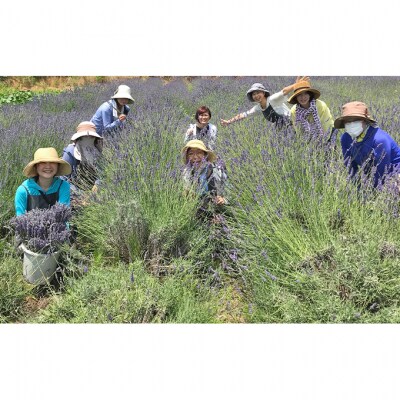 「BREEZE in LAVENDER FARM　イリスの雫15ml」[54070458]