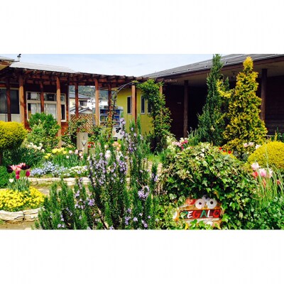 ジェラテリア・レガーロ ジェラート12個セット お菓子 アイス [54070250]