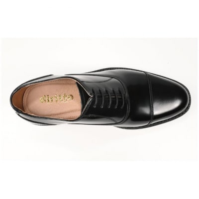 ビジネスシューズ　牛革トラッド　D8804 BL【ブラック】25cm[54077564]