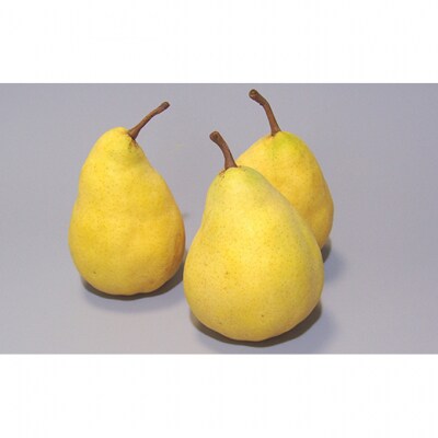 ル レクチェジュース180ml(2本セット)[54070040]