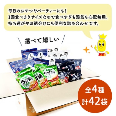 【食べきりサイズ】亀田のあられ・おせんべい♪小袋4種セット [54070649]