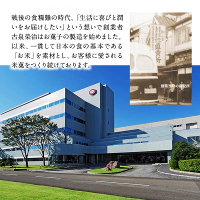 亀田のうす焼2種セット16袋 2種×8袋 [54071197]