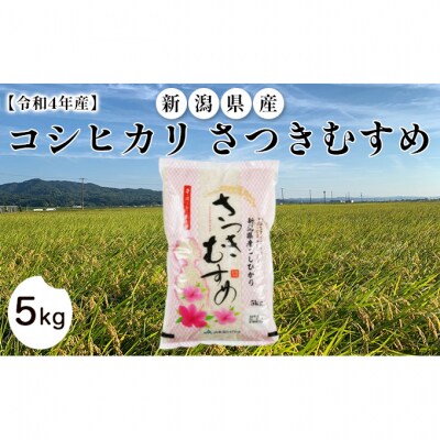 【令和4年産】新潟県産コシヒカリ　さつきむすめ5kg[54070149]