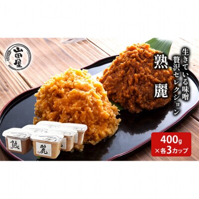 生きている味噌贅沢セレクション400g×各3カップ[54071075]