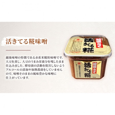 越後味噌食べ比べセット [54070246]