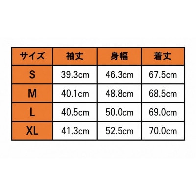 (M)アルビレックス新潟 ダニーロ ゴメス写真+全サイン入りユニフォーム[54072298]
