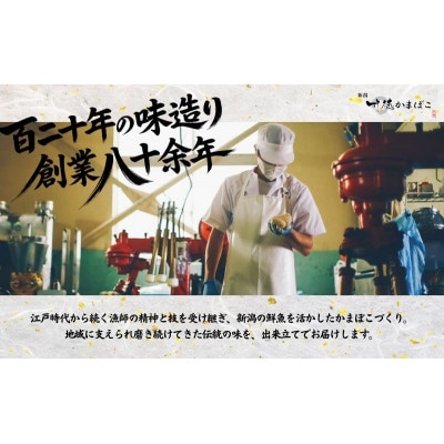 しんじょう4種詰合せ セット [54070123]