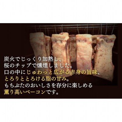 和豚もちぶた バラ ベーコン ブロック 1kg [54070292]