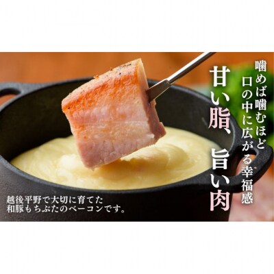 和豚もちぶた バラ ベーコン ブロック 1kg [54070292]