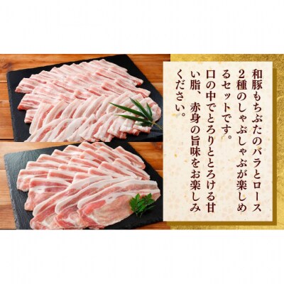和豚もちぶた ロース・バラ 800g(400g×2パック) 2種セット [54070658]