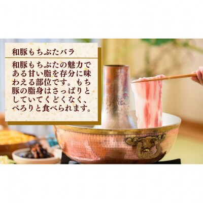 和豚もちぶた ロース・バラ 800g(400g×2パック) 2種セット [54070658]