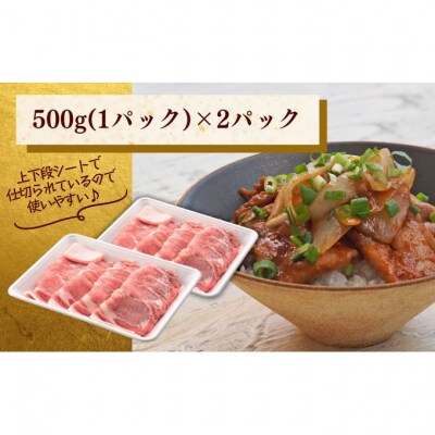 和豚もちぶた ローススライス 1kg (500g×2パック) セット [54070661]