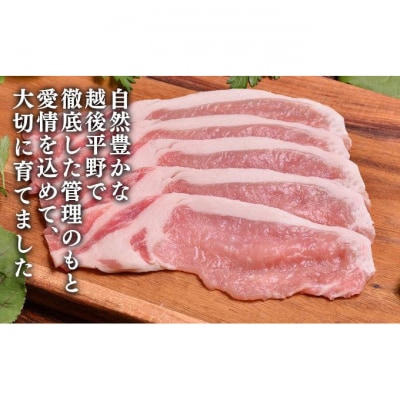 和豚もちぶた ローススライス 1kg (500g×2パック) セット [54070661]