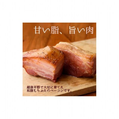 和豚もちぶた ベーコンとロース味噌漬け [54070663]