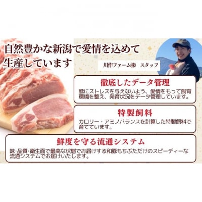 和豚もちぶた こま切れ 1.5kg (300g×5パック)[54071038]