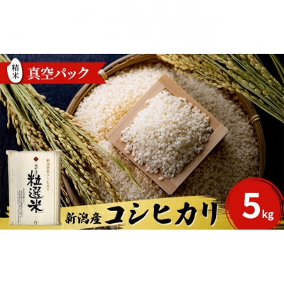 新潟産コシヒカリ精米5kg真空パック [54070372]