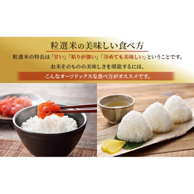 新潟産コシヒカリ精米10kg真空パック(5kg×2袋) [54070373]