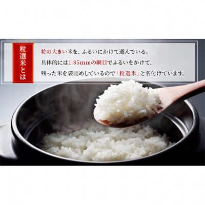 新潟産コシヒカリ精米15kg真空パック(5kg×3袋) [54070378]
