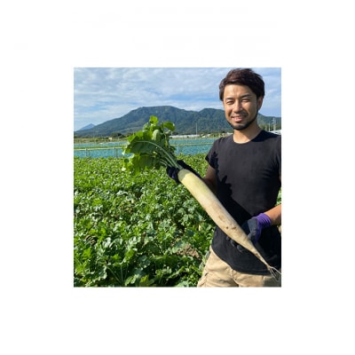 岩崎食品の切干大根巻漬物セット(3種・6点) [54070387]