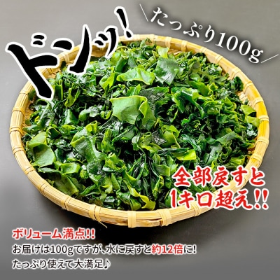 訳ありカットわかめ 海産物 三陸産 [54071128]