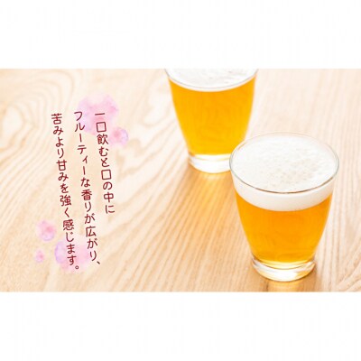 Niigata BEER ビール 330ml 24本セット [54070445]