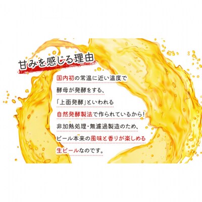 Niigata BEER ビール 330ml 24本セット [54070445]