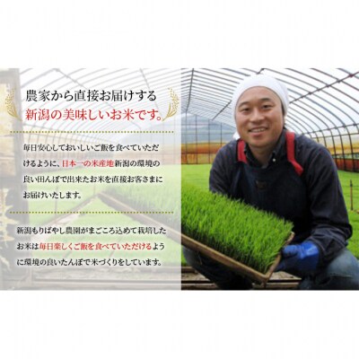 まごころ米コシヒカリ10kg(白米)[54070452]