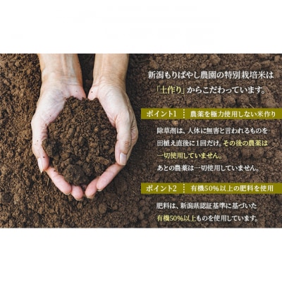 まごころ米コシヒカリ10kg(白米)[54070452]