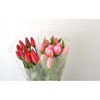フラワーファームしろねのチューリップ切花20本　赤・ピンク各10本[54070470]