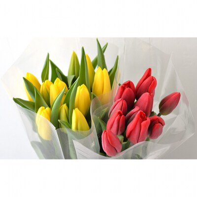 フラワーファームしろねのチューリップ切花20本　黄・赤各10本[54070471]