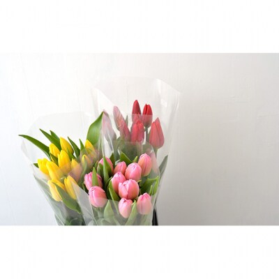 フラワーファームしろねのチューリップ切花30本　黄・赤・ピンク各10本[54070473]